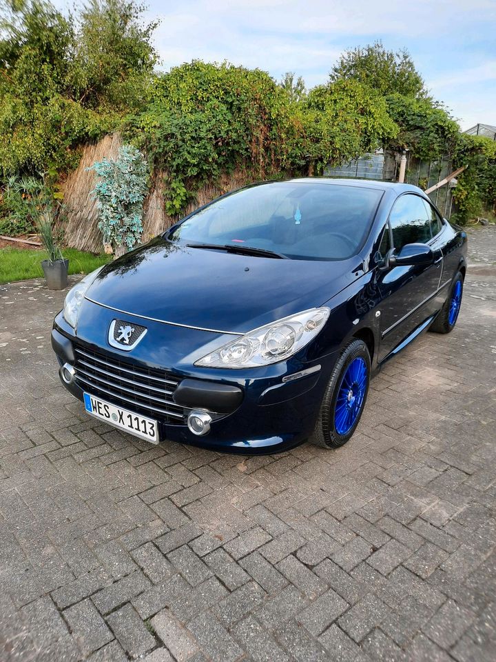 Peugeot 307 cc Bj2005 in Schermbeck