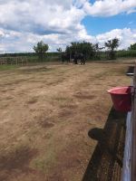 Kunstrasen für paddock Nordrhein-Westfalen - Schermbeck Vorschau